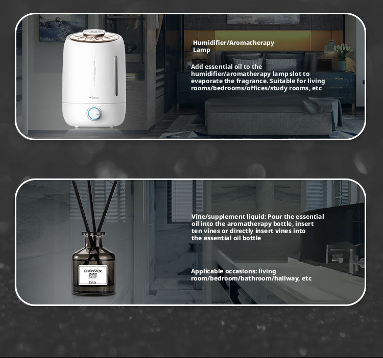 970de398-82dd-4bbd-bdb4-85350fa88904